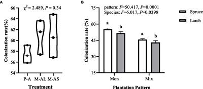 Mixed conifer-broadleaf trees on arbuscular mycorrhizal and ectomycorrhizal communities in rhizosphere soil of different plantation stands in the temperate zone, Northeast China